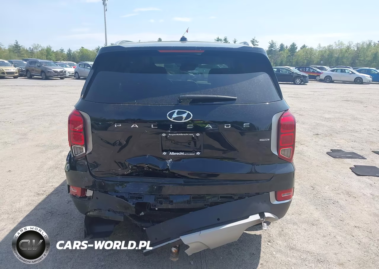 2020 Hyundai Palisade Sel VIN:KM8R2DHE8LU072615 - 16