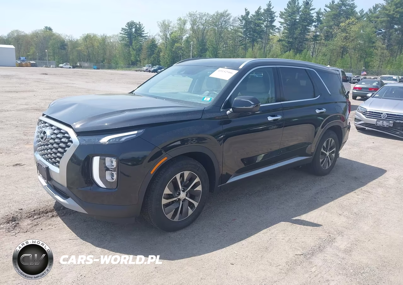 2020 Hyundai Palisade Sel VIN:KM8R2DHE8LU072615 - 2