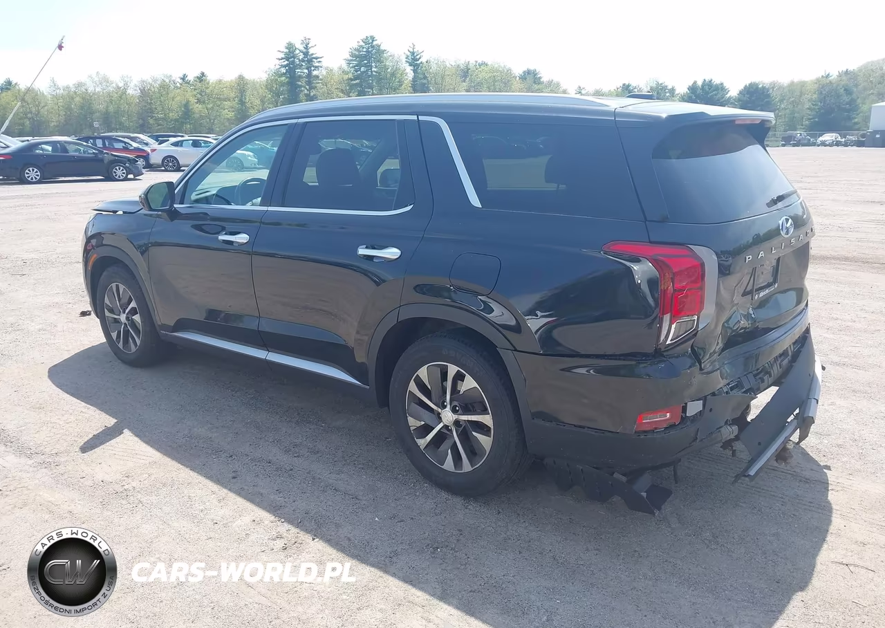 2020 Hyundai Palisade Sel VIN:KM8R2DHE8LU072615 - 3