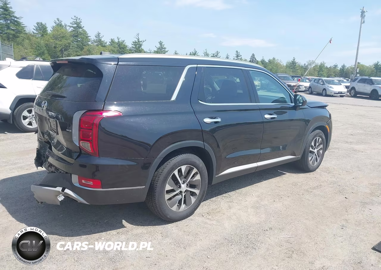 2020 Hyundai Palisade Sel VIN:KM8R2DHE8LU072615 - 4