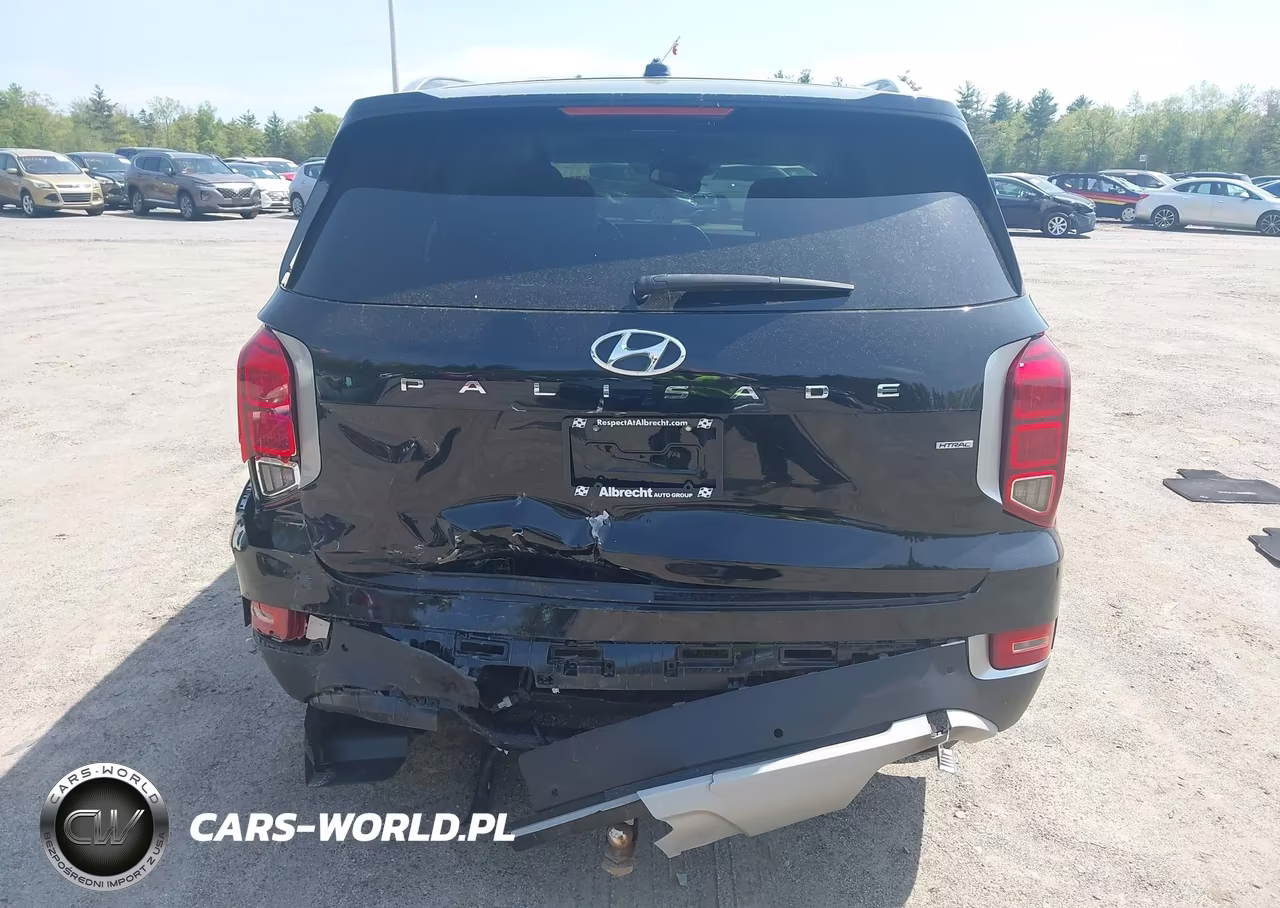 2020 Hyundai Palisade Sel VIN:KM8R2DHE8LU072615 - 6