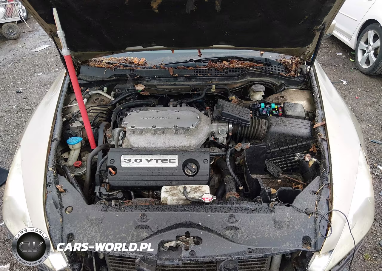 2007 Honda Accord 3.0 Ex VIN:1HGCM665X7A032001 - 10