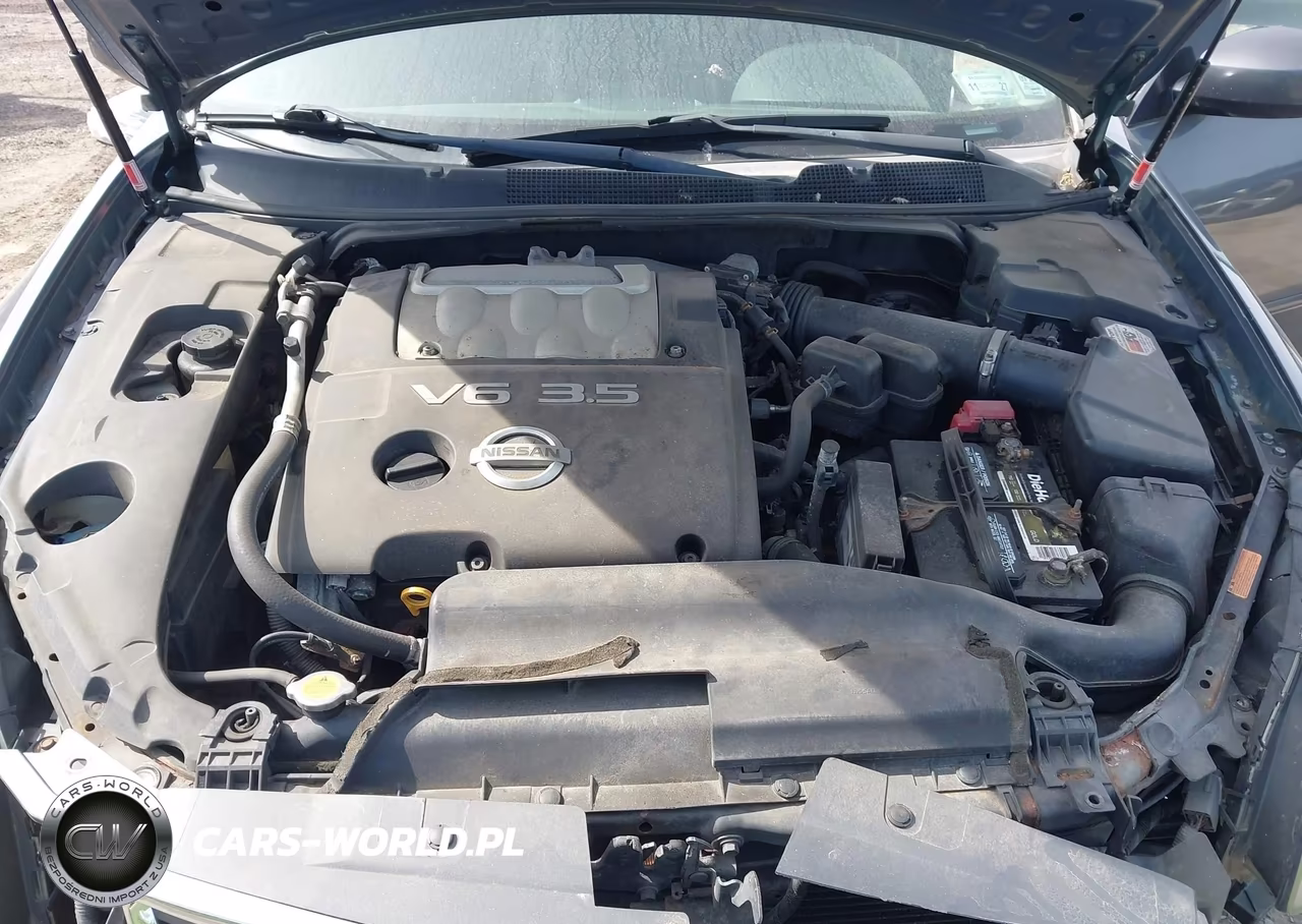 2007 Nissan Maxima 3.5 Se VIN:1N4BA41E87C814208 - 10