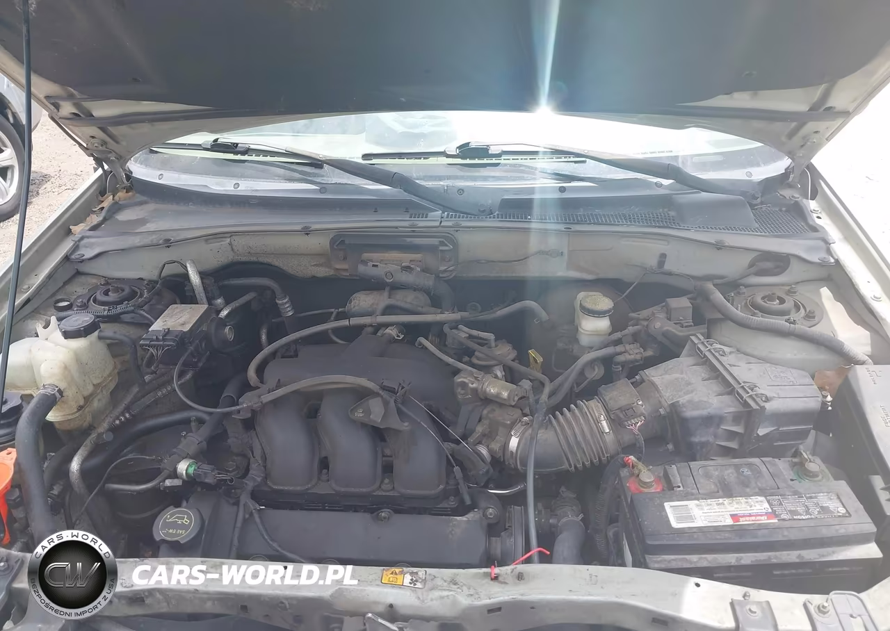 2004 Ford Escape Xlt VIN:1FMYU03144KB10115 - 10