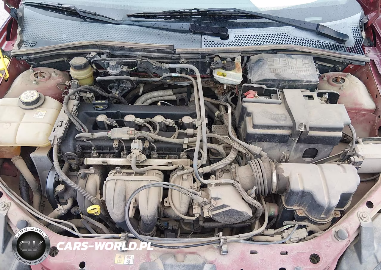 2006 Ford Focus Zx4 VIN:1FAFP34N16W103856 - 10