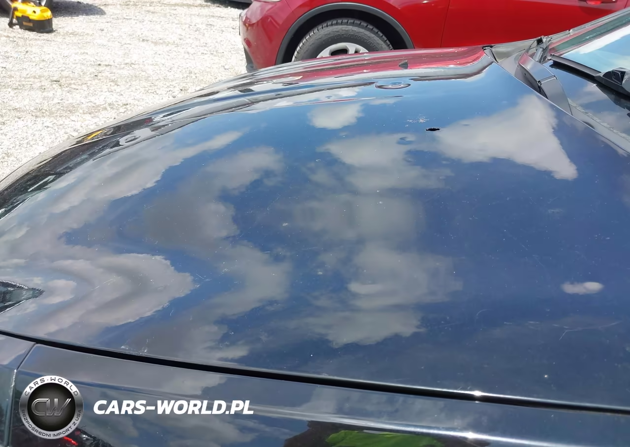 2013 Dodge Dart Rallye VIN:1C3CDFBA1DD118507 - 6