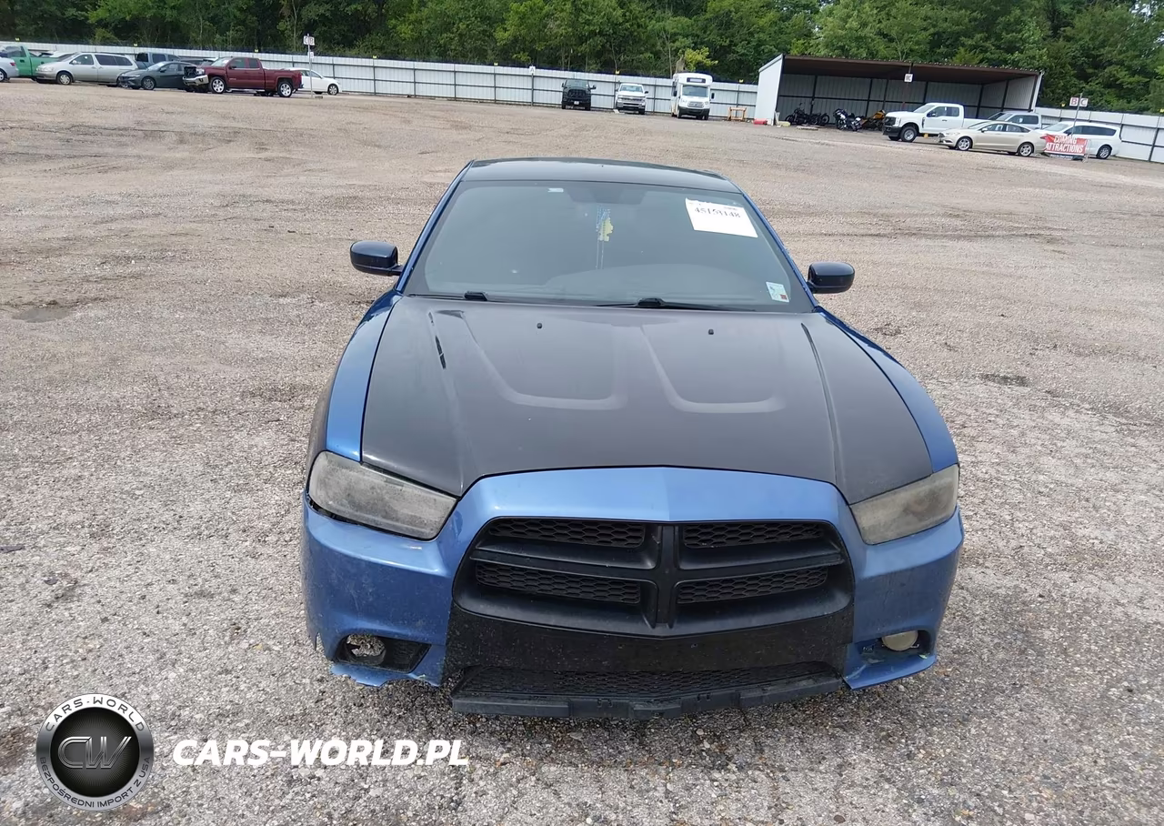 2014 Dodge Charger Police VIN:2C3CDXAT6EH207731 - 12