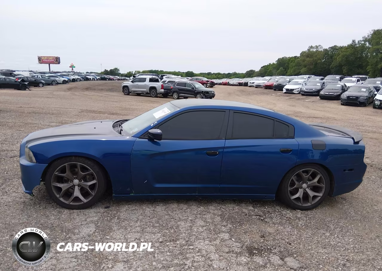 2014 Dodge Charger Police VIN:2C3CDXAT6EH207731 - 14
