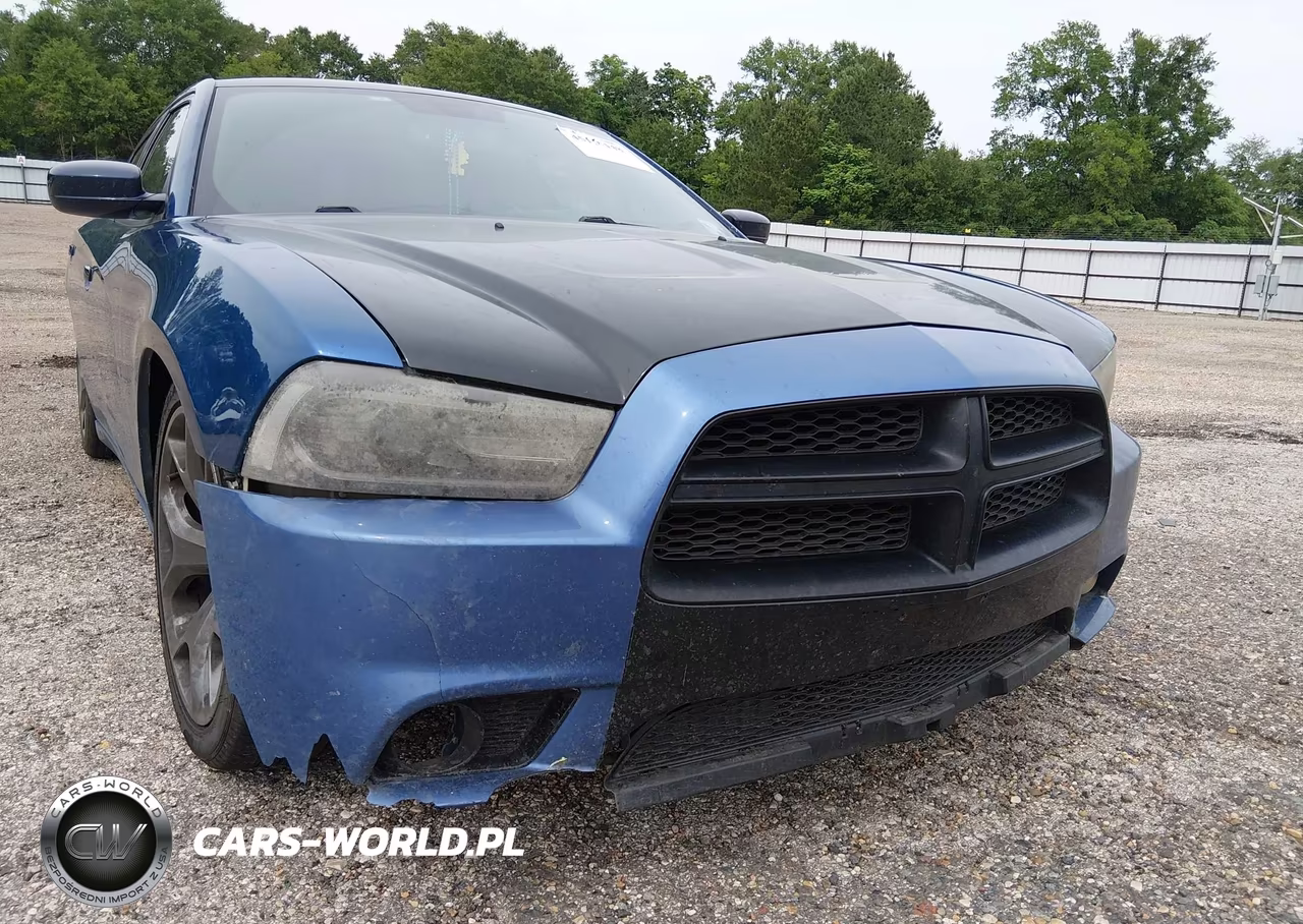 2014 Dodge Charger Police VIN:2C3CDXAT6EH207731 - 6