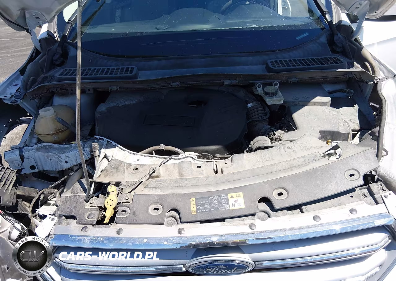 2017 Ford Escape Se VIN:1FMCU0G99HUC53551 - 10
