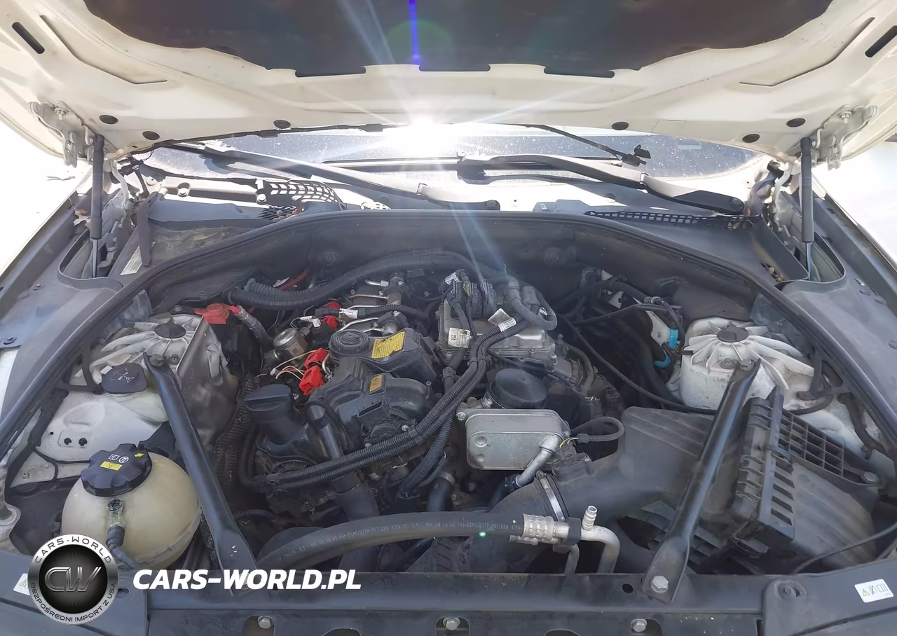 2015 BMW 528I VIN:WBA5A5C55FD524492 - 10