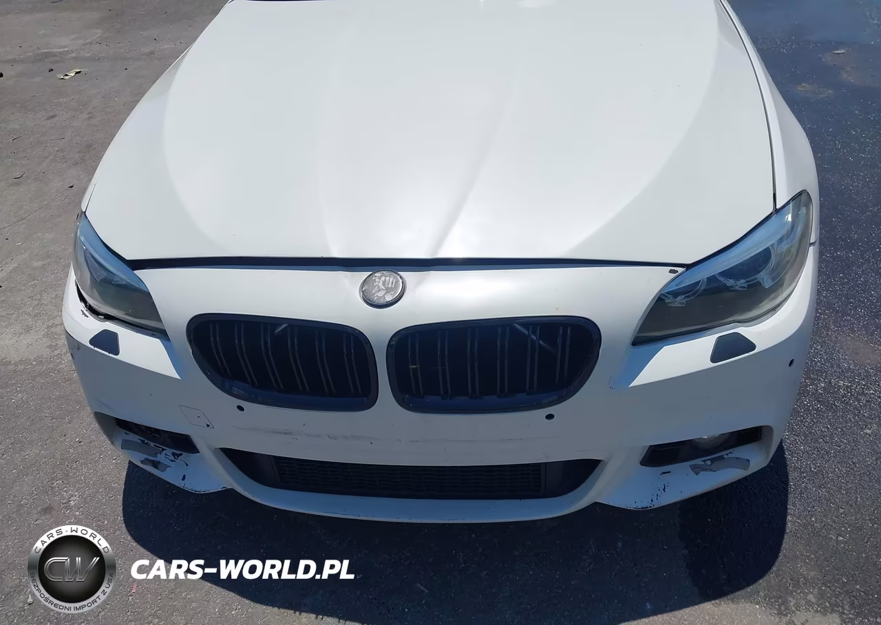 2015 BMW 528I VIN:WBA5A5C55FD524492 - 6