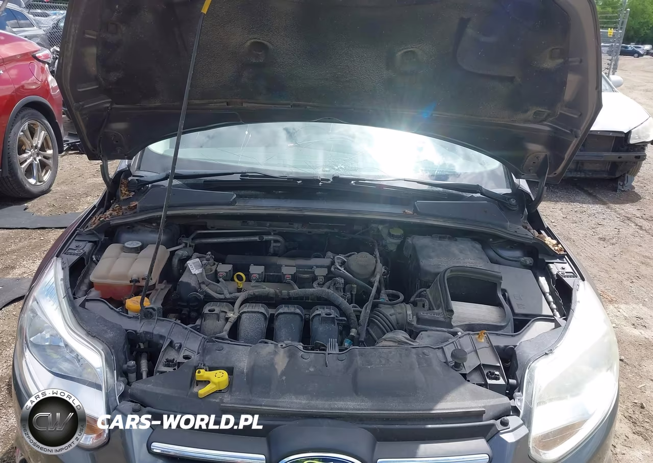 2013 Ford Focus Se VIN:1FADP3F25DL144029 - 10