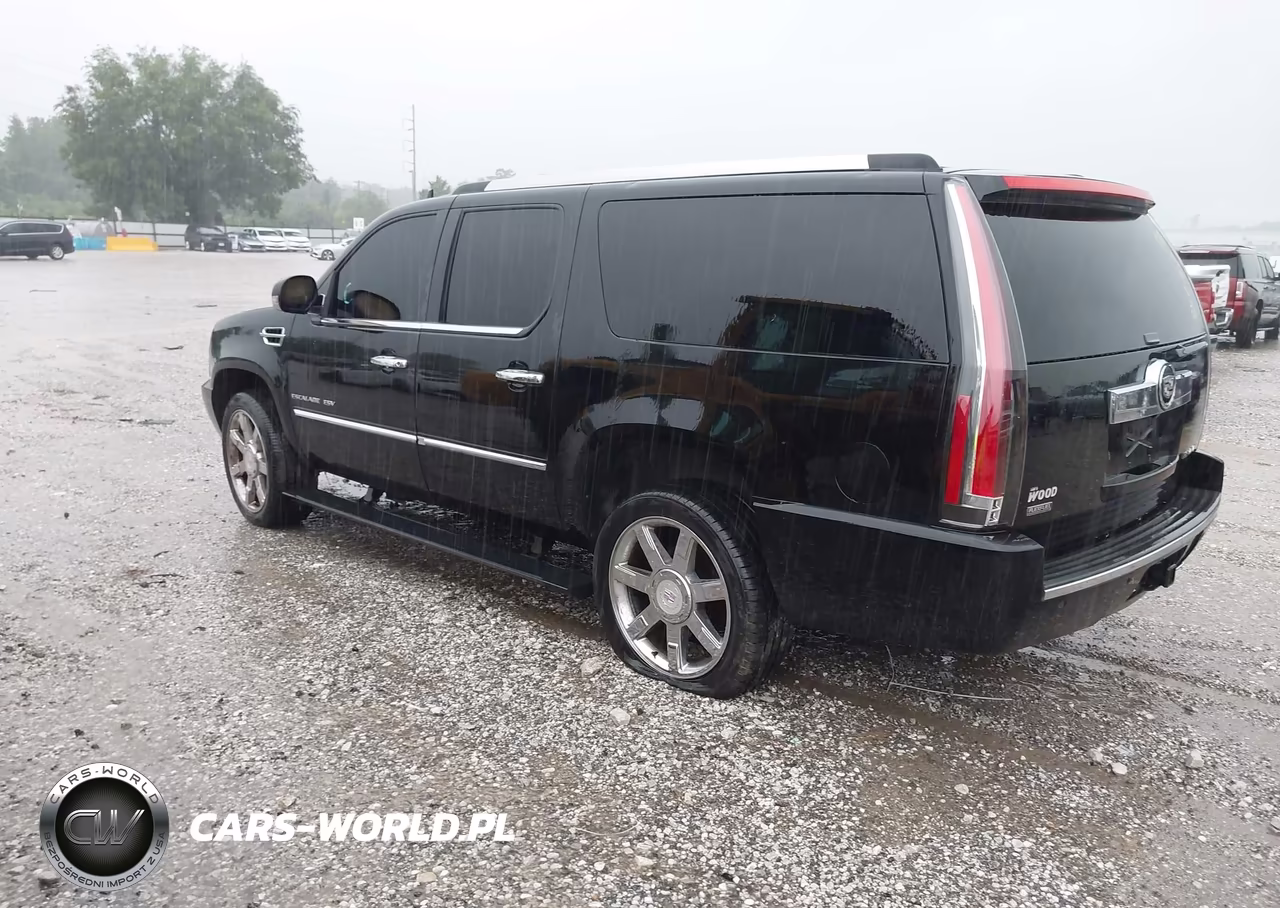 2011 Cadillac Escalade Esv Premium VIN:1GYS3JEF9BR382167 - 3