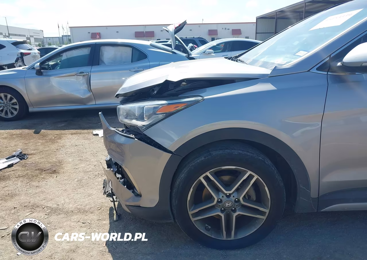 2017 Hyundai Santa Fe Limited Ultimate VIN:KM8SR4HF1HU180748 - 6