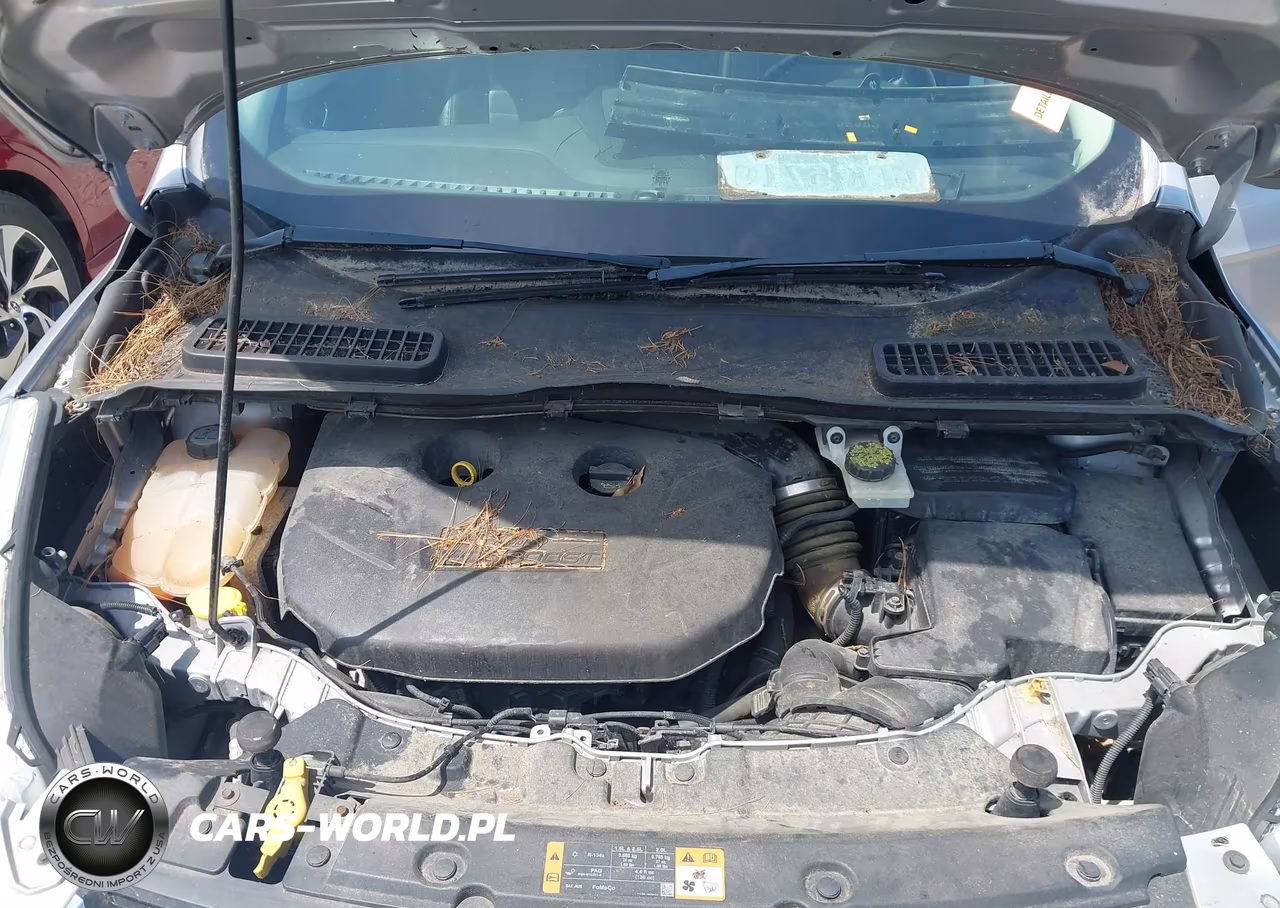 2013 Ford Escape Sel VIN:1FMCU9H94DUD40738 - 10