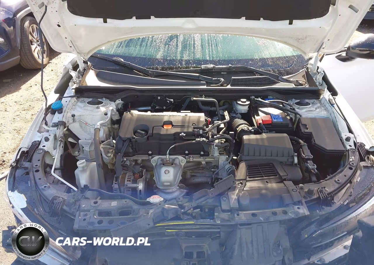 2024 Honda Civic Sport VIN:2HGFE2F54RH531495 - 10