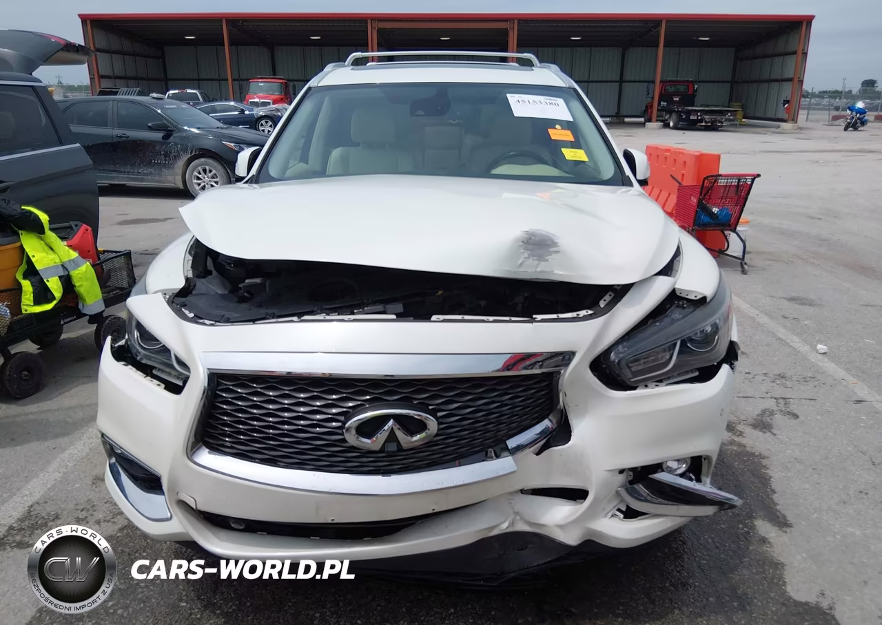 2019 Infiniti Qx60 Luxe VIN:5N1DL0MM2KC561920 - 12