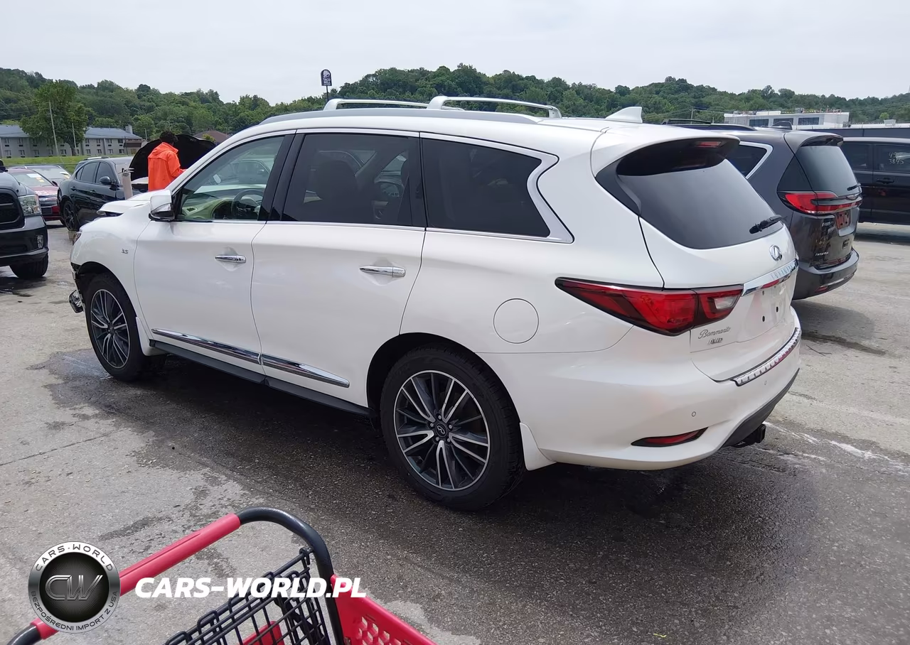 2019 Infiniti Qx60 Luxe VIN:5N1DL0MM2KC561920 - 3