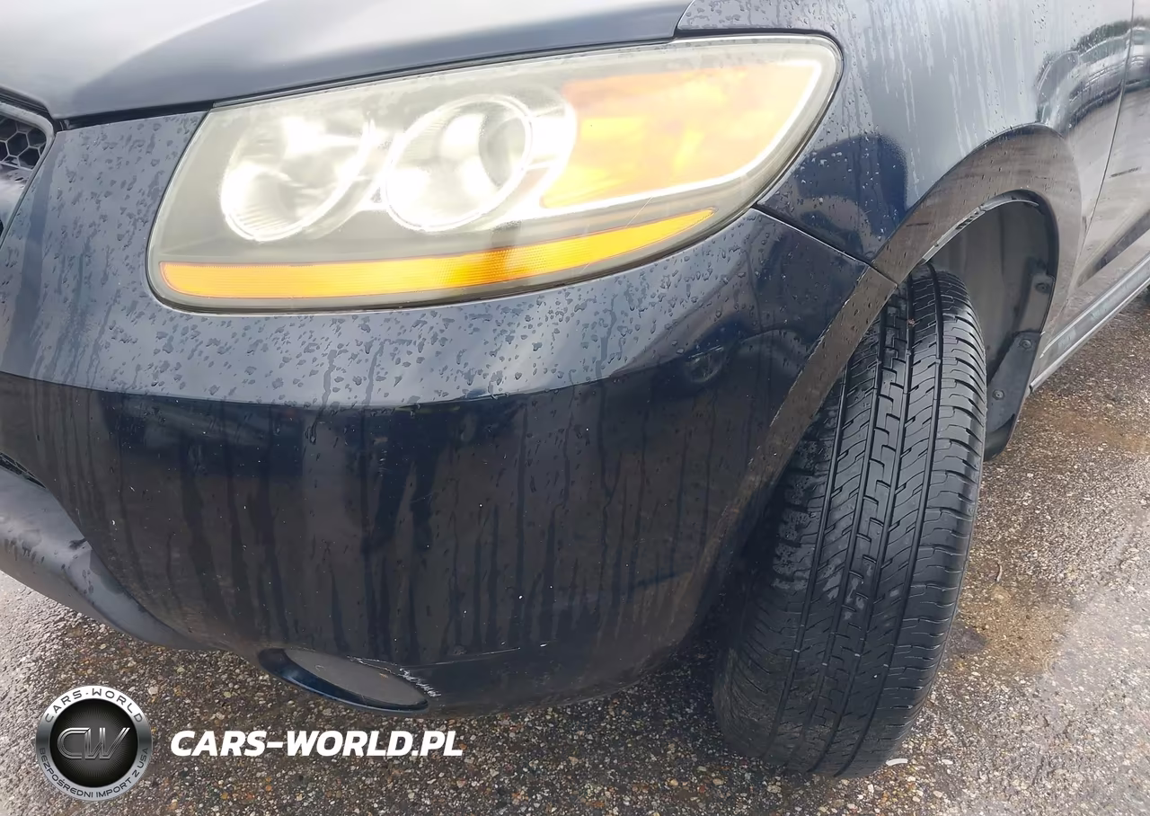 2009 Hyundai Santa Fe Gls VIN:5NMSG13DX9H286171 - 12