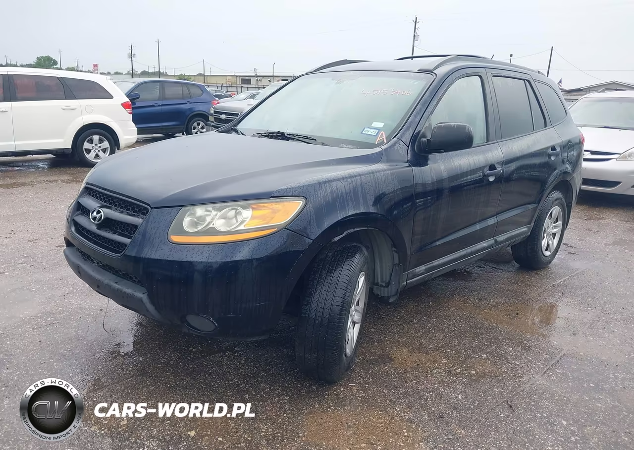 2009 Hyundai Santa Fe Gls VIN:5NMSG13DX9H286171 - 2
