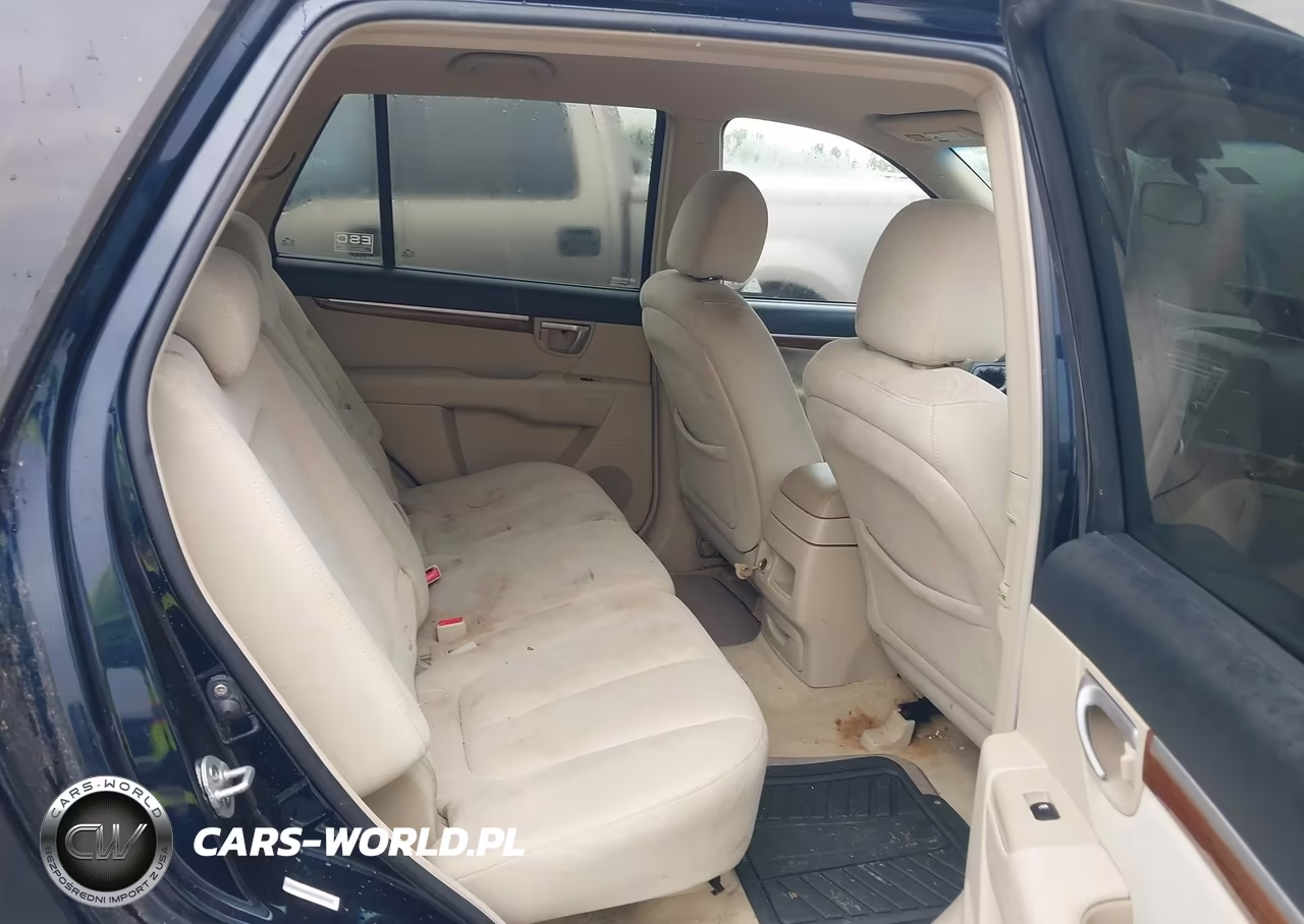 2009 Hyundai Santa Fe Gls VIN:5NMSG13DX9H286171 - 8