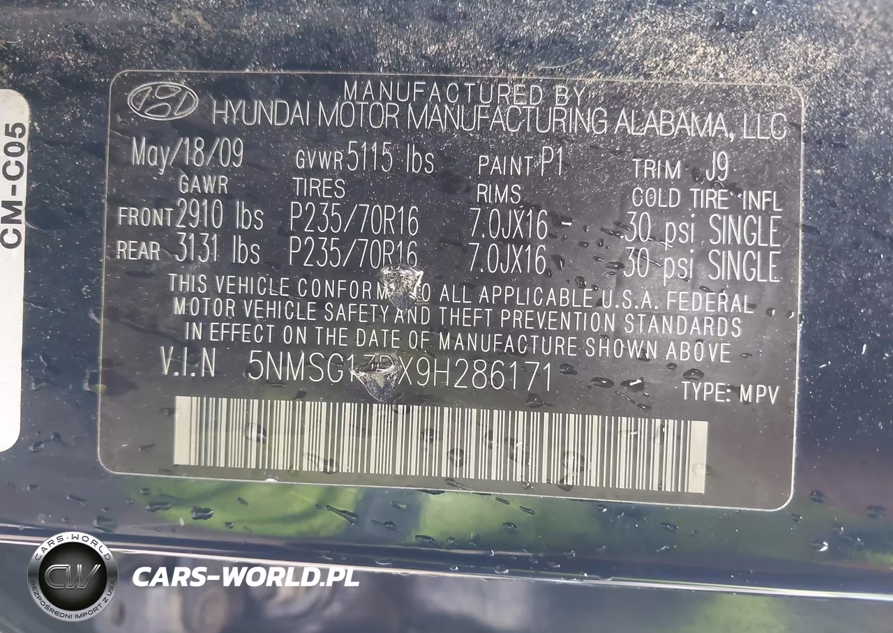 2009 Hyundai Santa Fe Gls VIN:5NMSG13DX9H286171 - 9