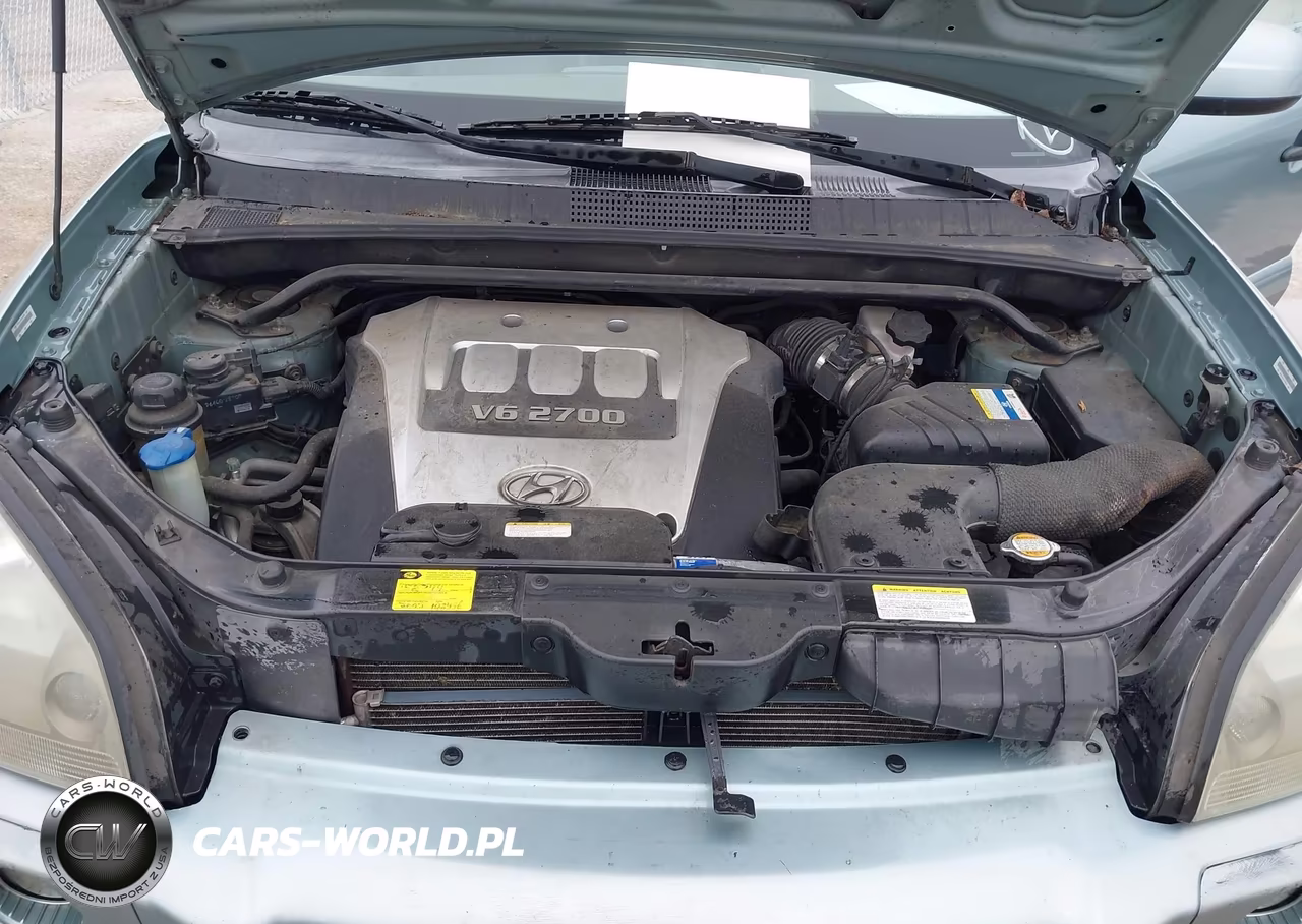 2006 Hyundai Tucson Gls-Limited VIN:KM8JN72D46U364448 - 10