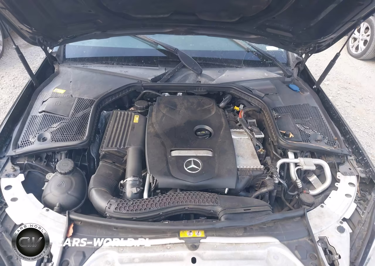 2016 Mercedes-Benz C 300 VIN:55SWF4JB7GU105306 - 10