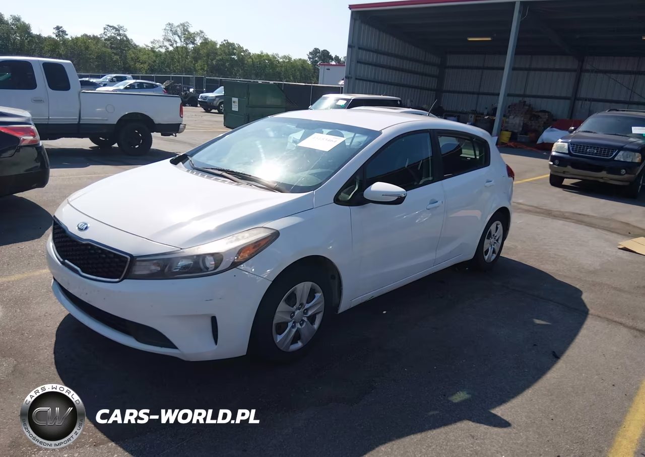 2017 Kia Forte Lx VIN:KNAFK5A83H5688481 - 2