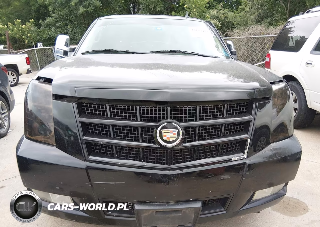 2010 Cadillac Escalade Luxury VIN:1GYUKBEF3AR152771 - 12
