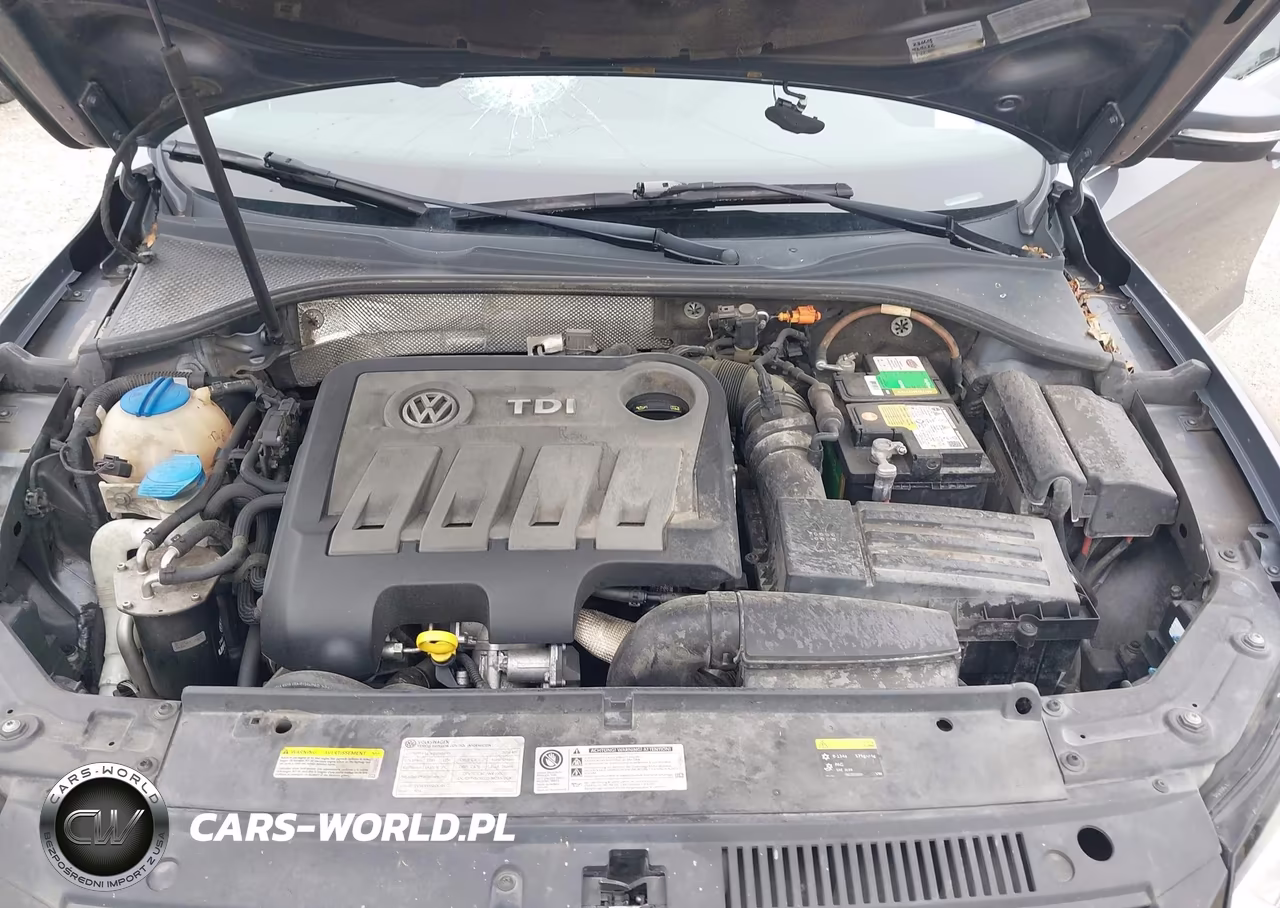 2014 Volkswagen Passat 2.0L Tdi Se VIN:1VWBN7A33EC099766 - 10