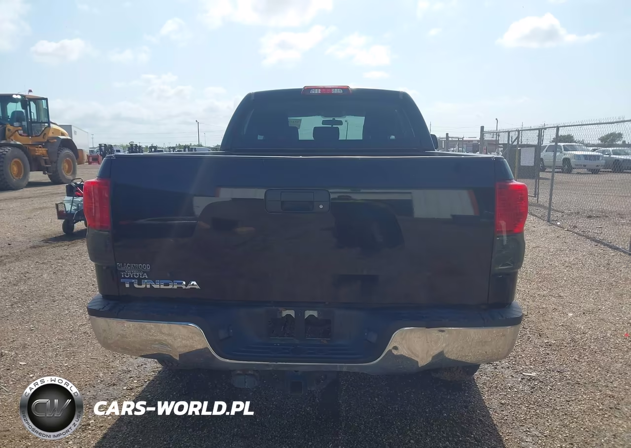 2010 Toyota Tundra Grade 4.6L V8 VIN:5TFRM5F18AX004427 - 16