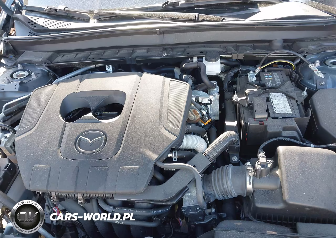 2024 Mazda Cx-30 2.5 S Carbon Edition VIN:3MVDMBCM4RM633710 - 10