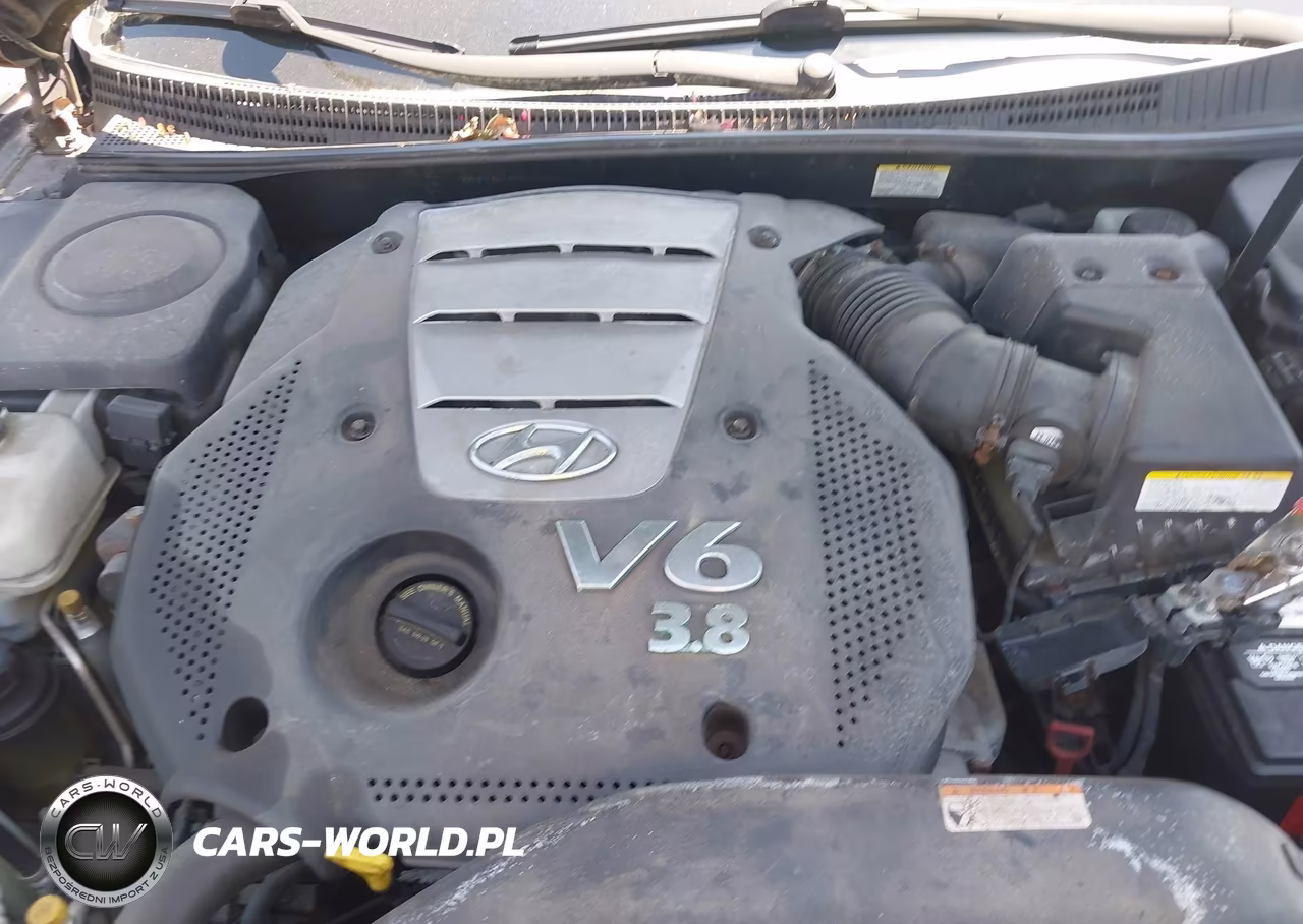 2007 Hyundai Azera Limited-Se VIN:KMHFC46FX7A235199 - 10