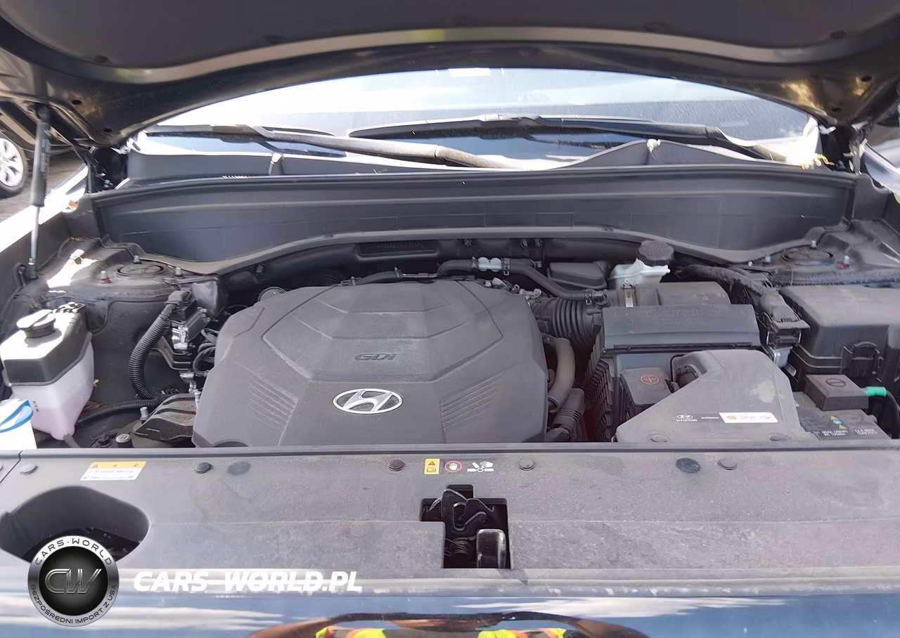 2024 Hyundai Palisade Xrt VIN:KM8R3DGE1RU662470 - 10