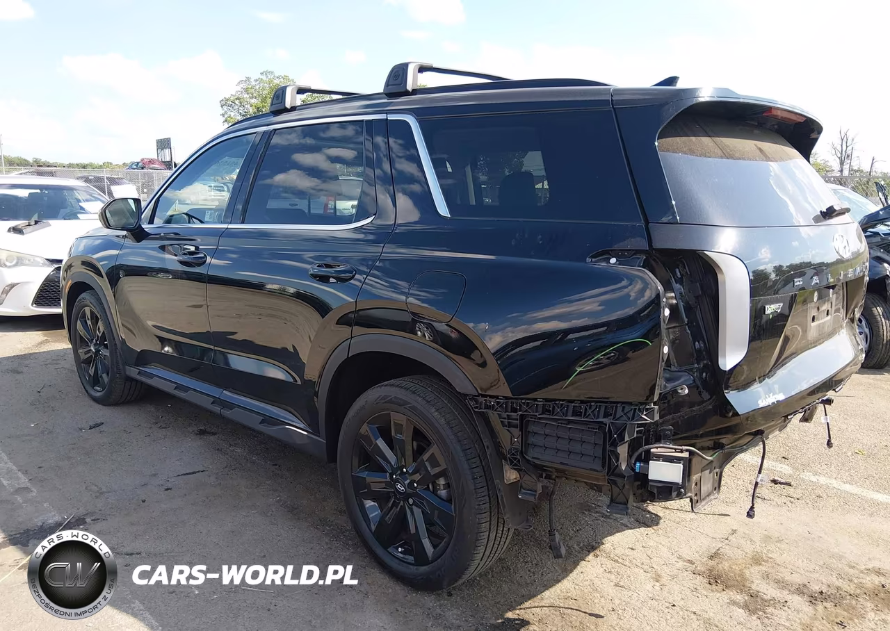 2024 Hyundai Palisade Xrt VIN:KM8R3DGE1RU662470 - 3