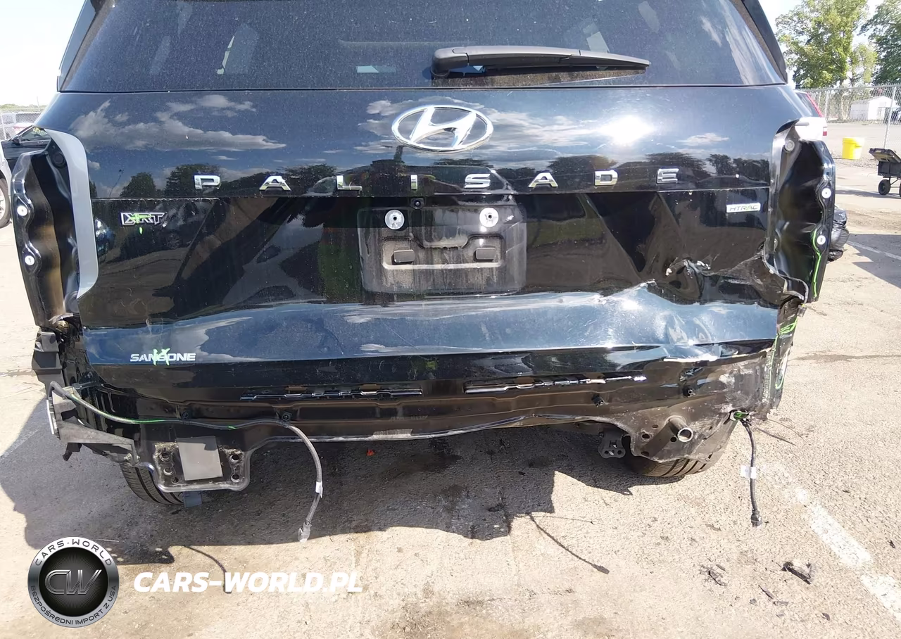 2024 Hyundai Palisade Xrt VIN:KM8R3DGE1RU662470 - 6