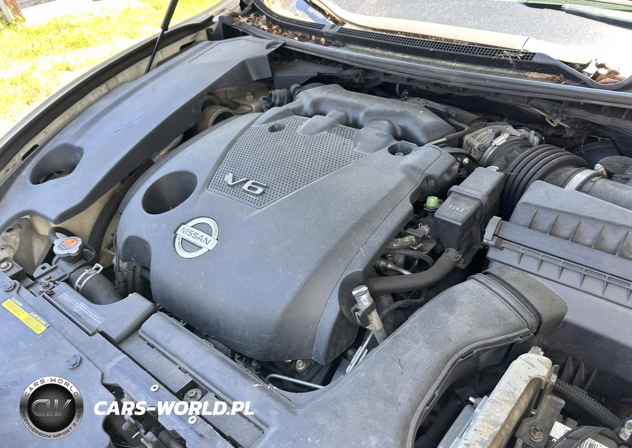 2013 Nissan Maxima 3.5 Sv VIN:1N4AA5AP3DC806614 - 10