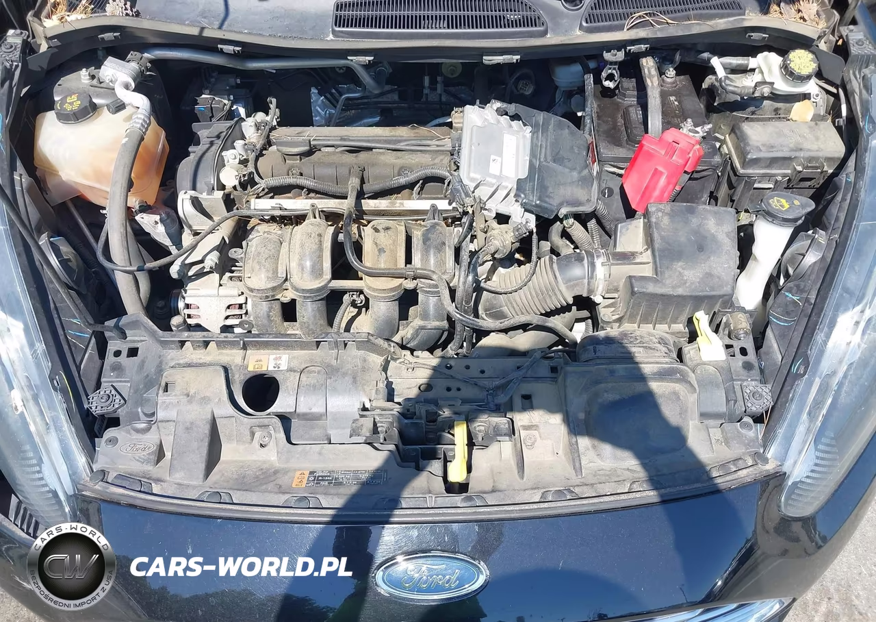 2017 Ford Fiesta Se VIN:3FADP4BJ8HM145926 - 10