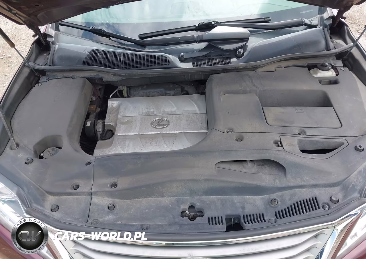 2013 Lexus Rx 350 VIN:2T2BK1BA6DC176119 - 10