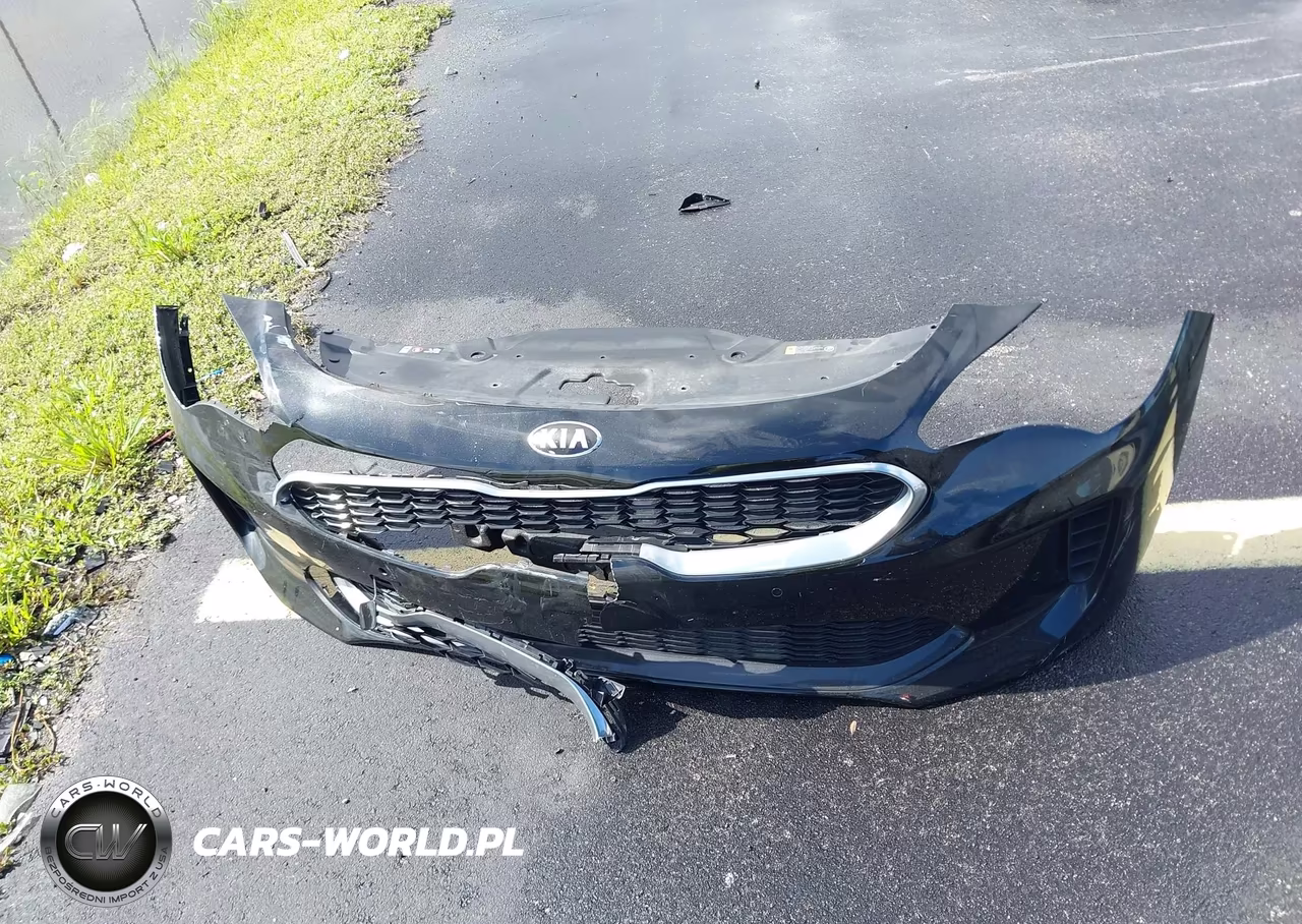 2018 Kia Stinger VIN:KNAE15LA5J6031101 - 12
