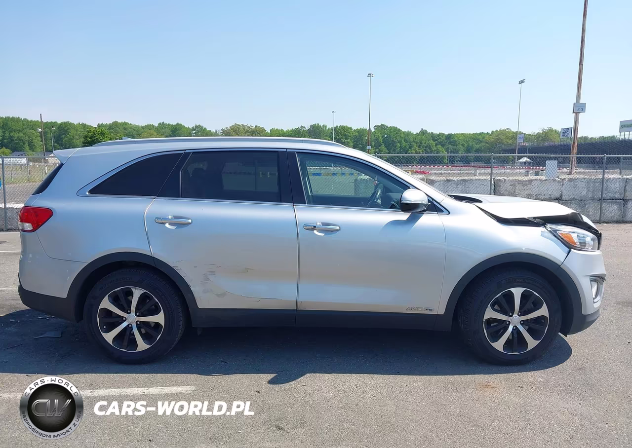 2017 Kia Sorento 3.3L Ex VIN:5XYPHDA51HG239409 - 13