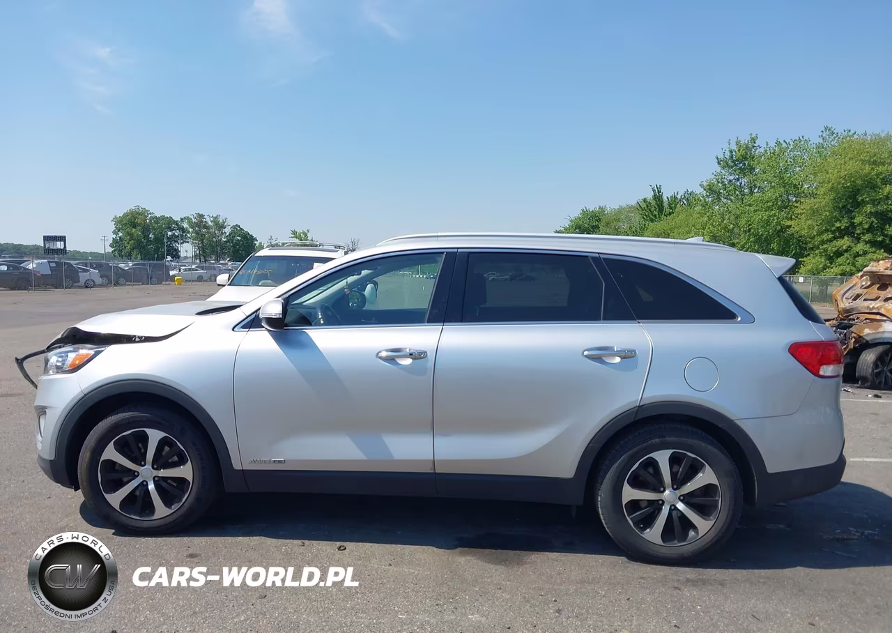 2017 Kia Sorento 3.3L Ex VIN:5XYPHDA51HG239409 - 14