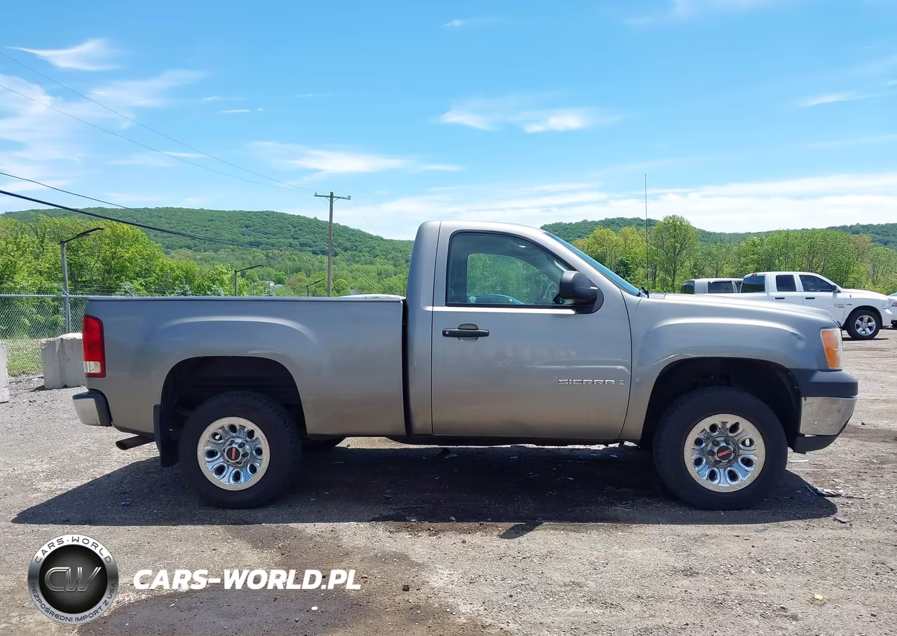 2009 GMC Sierra 1500 Work Truck VIN:1GTEC14X69Z228278 - 13