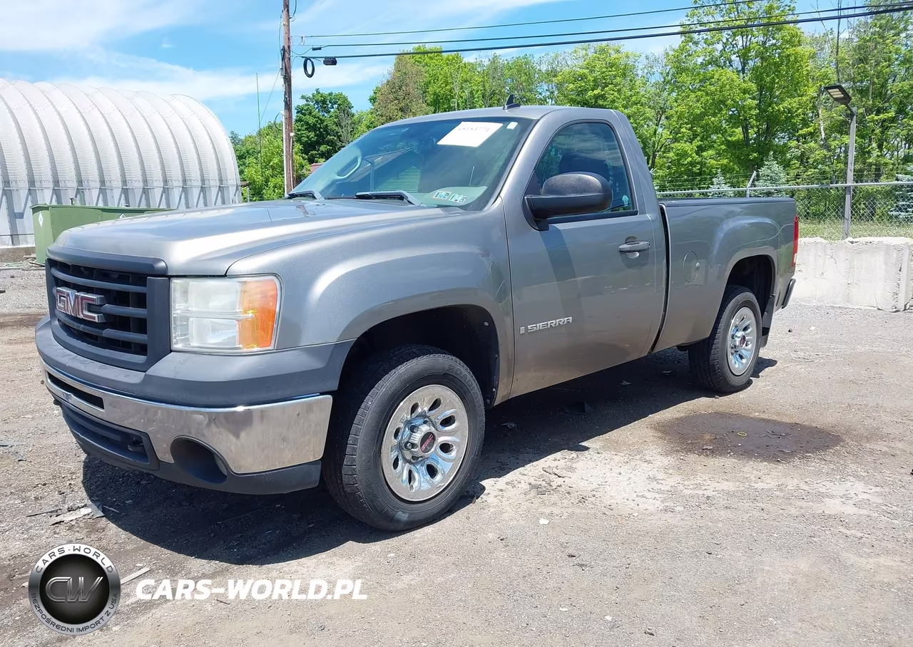 2009 GMC Sierra 1500 Work Truck VIN:1GTEC14X69Z228278 - 2