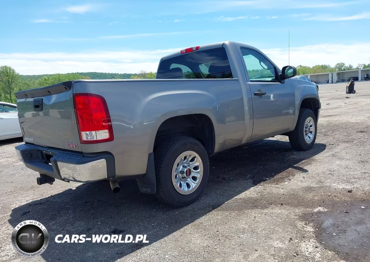 2009 GMC Sierra 1500 Work Truck VIN:1GTEC14X69Z228278 - 4