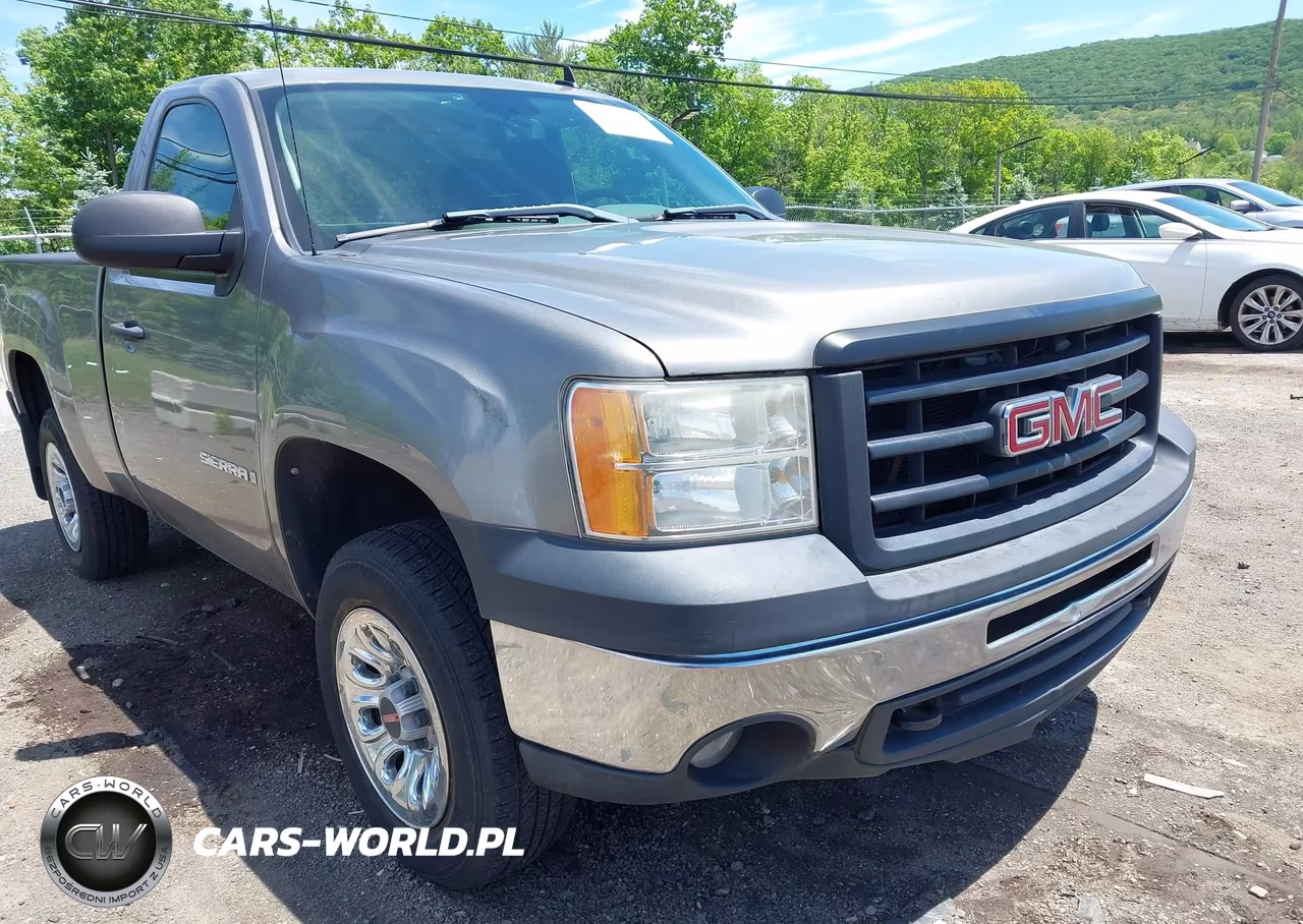 2009 GMC Sierra 1500 Work Truck VIN:1GTEC14X69Z228278 - 6
