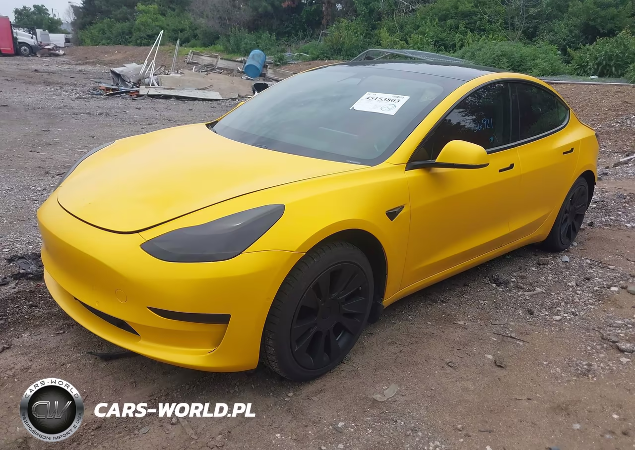 2021 Tesla Model 3 Standard Range Plus Rear-Wheel Drive VIN:5YJ3E1EAXMF064317 - 2