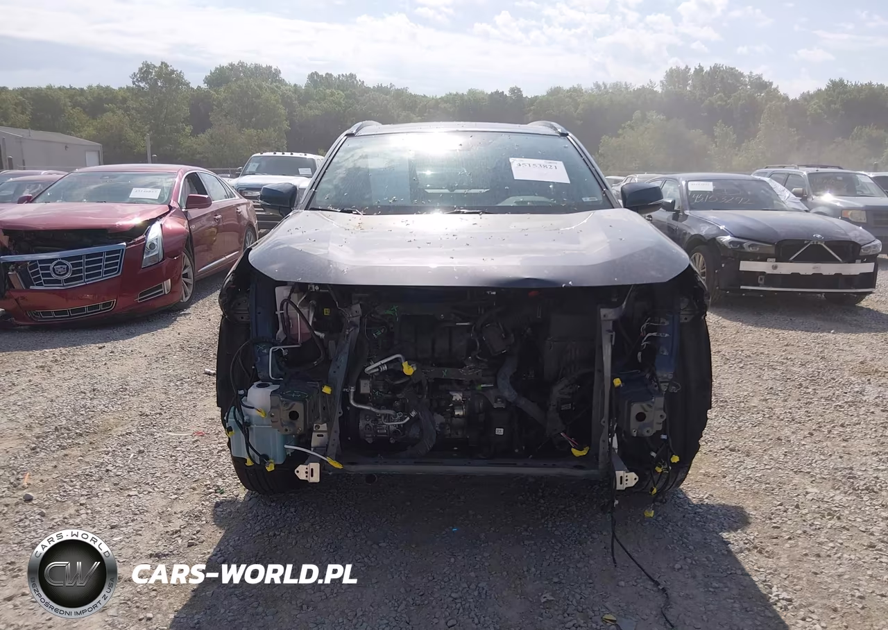 2023 Toyota Rav4 Xle VIN:2T3W1RFV2PC231052 - 12